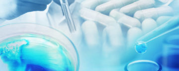 Seagull – Life Sciences Consultancy