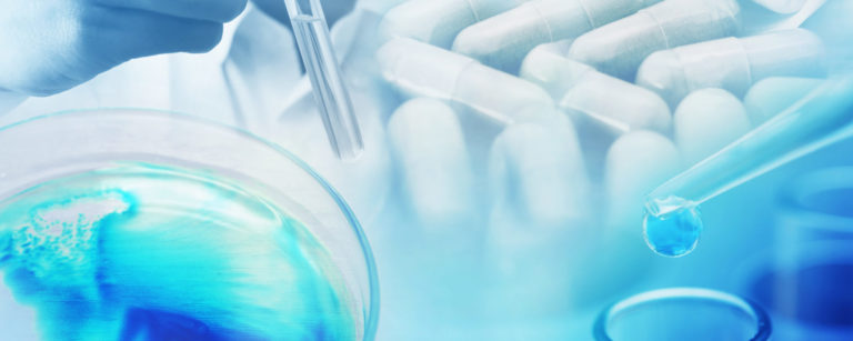 Seagull – Life Sciences Consultancy