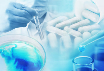 Seagull – Life Sciences Consultancy